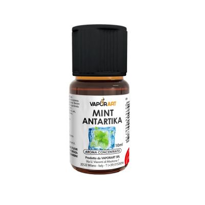 Mint Antartika Vaporart  aroma concentrato 10 ml