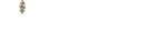 bitfumo logo